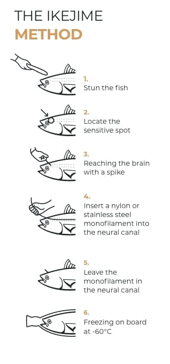 Ikejime method responsive
