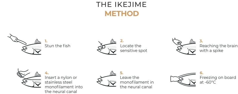 Method Ikejime